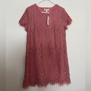 NWT Francesca's Collections Lace Mini Dress in Dusty Rose
